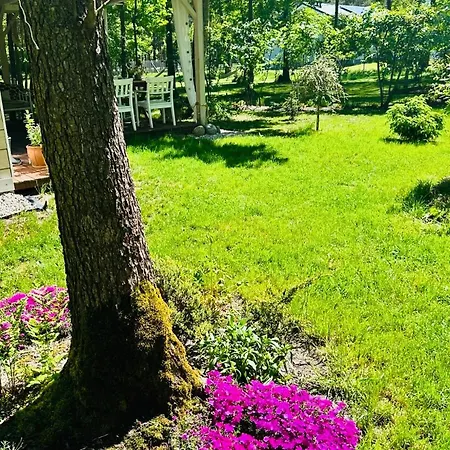 Lackowka Mazury Swietajno (Szczytno)