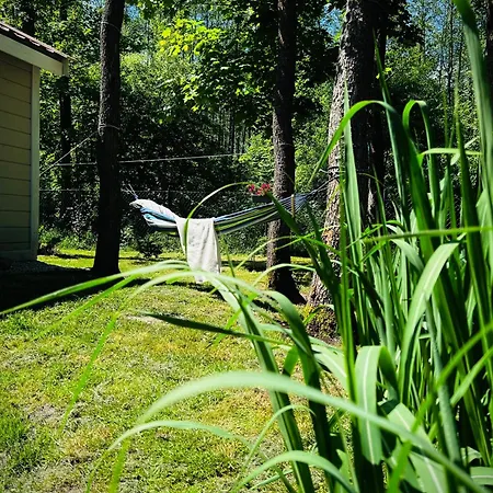 Lackowka Mazury Swietajno (Szczytno)