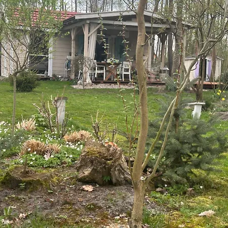 Lackowka Mazury * Swietajno (Szczytno)