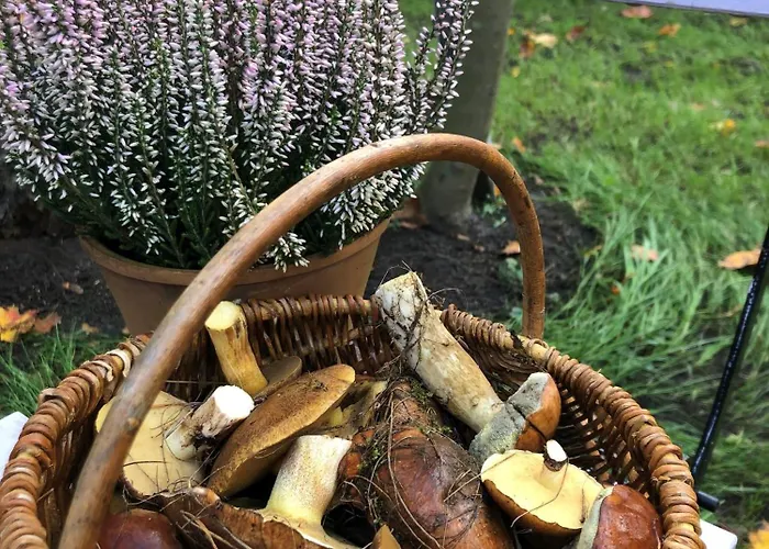 Lackowka Mazury Holiday home