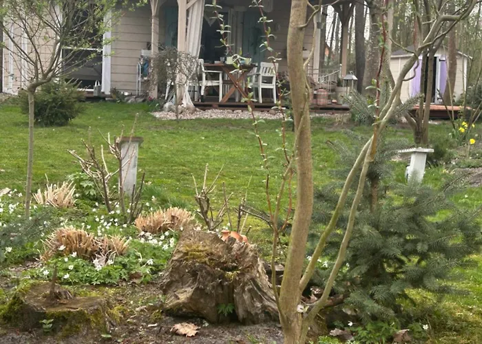 Lackowka Mazury * Swietajno (Szczytno)